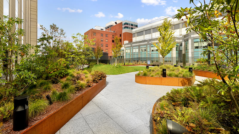 The Healing Power of Nature: Anderson & Desimone Healing Garden preview 8