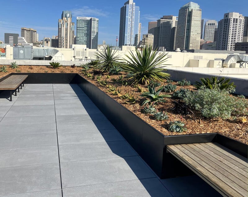 Stunning Views of SoMa preview 2