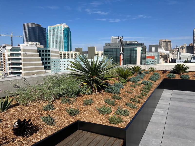 Stunning Views of SoMa preview 3