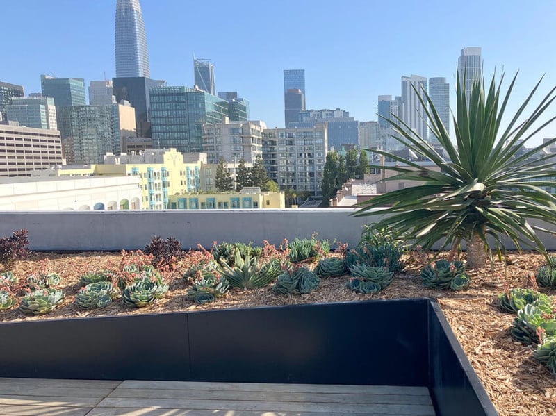 Stunning Views of SoMa preview 4