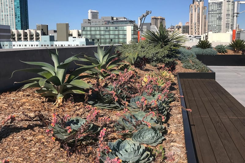 Stunning Views of SoMa preview 5