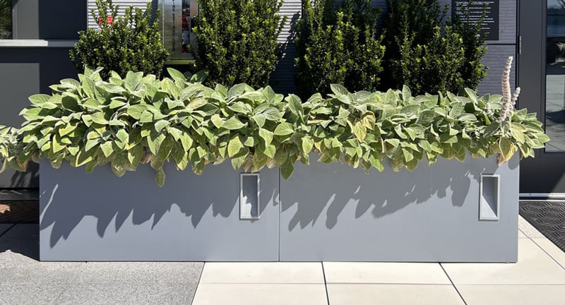 KODA Seattle Modern Rooftop preview 2