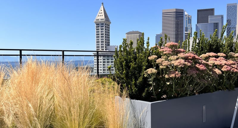 KODA Seattle Modern Rooftop preview 3