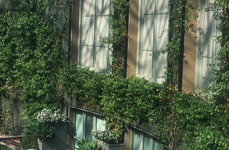 Universal CityWalk Trellis System preview 4