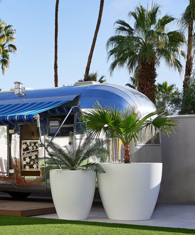 Hotel Paseo - A Cool Desert Hotspot preview 3