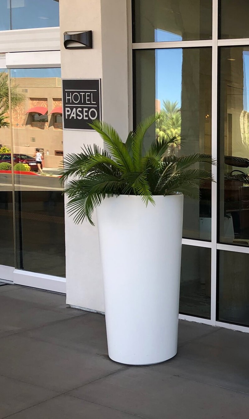 Hotel Paseo - A Cool Desert Hotspot preview 4