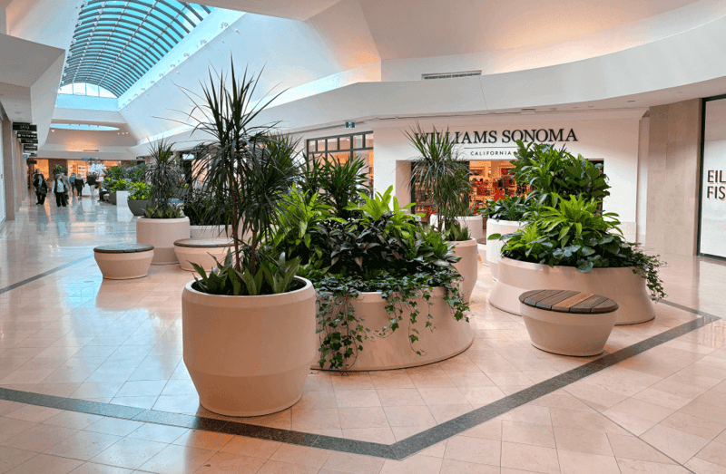 A Retail Destination: Cadillac Fairview's Sherway Gardens Brings In The Green preview 2