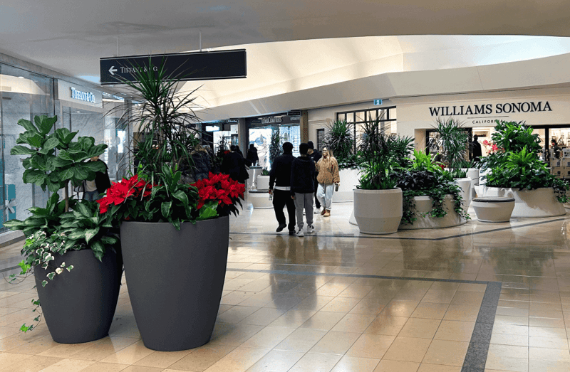 A Retail Destination: Cadillac Fairview's Sherway Gardens Brings In The Green preview 4
