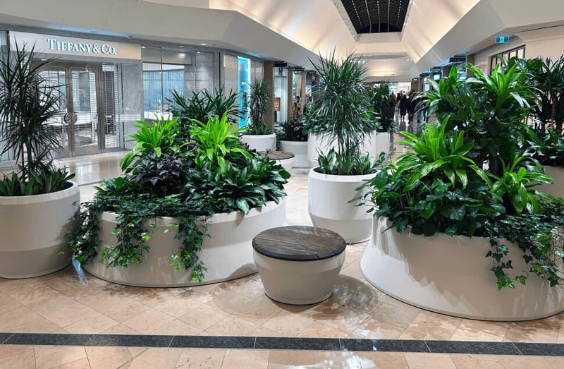 A Retail Destination: Cadillac Fairview's Sherway Gardens Brings In The Green preview 5