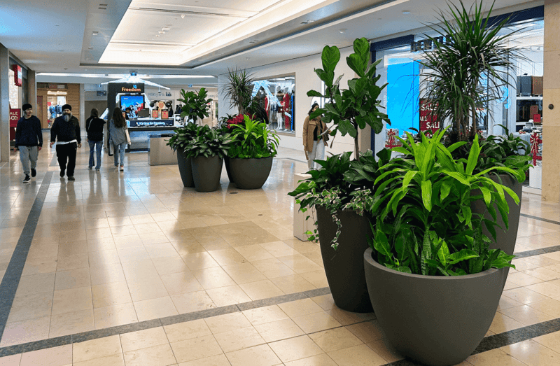 A Retail Destination: Cadillac Fairview's Sherway Gardens Brings In The Green preview 6
