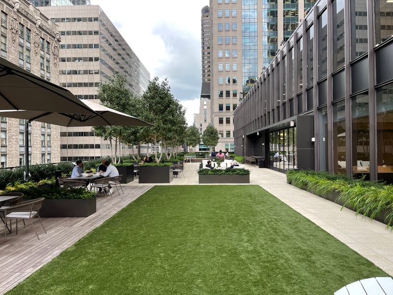 A Park Avenue's Rooftop Oasis preview 3