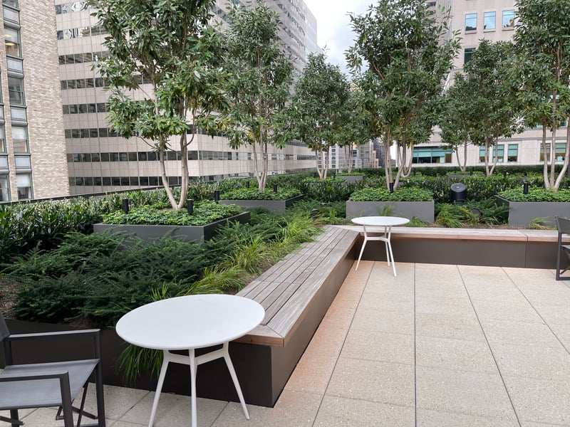 A Park Avenue's Rooftop Oasis preview 4