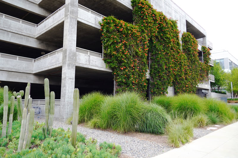 The Bluffs at Playa Vista: A Model of Sustainable Urban Design