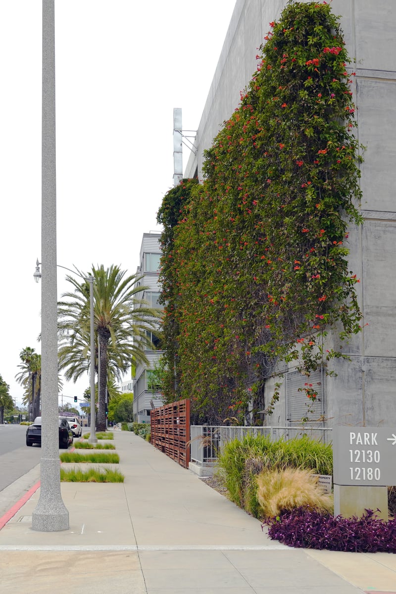 The Bluffs at Playa Vista: A Model of Sustainable Urban Design preview 2