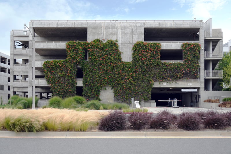 The Bluffs at Playa Vista: A Model of Sustainable Urban Design preview 4