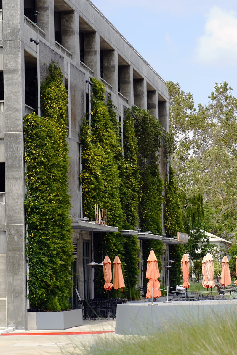 The Bluffs at Playa Vista: A Model of Sustainable Urban Design preview 6