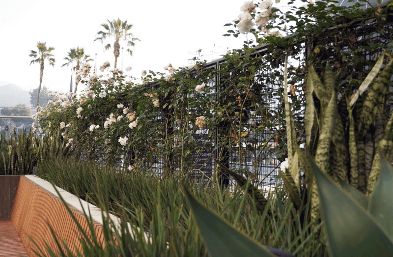 Ovation Center: A Hollywood Landmark Gets a Fresh, Green Facelift preview 3