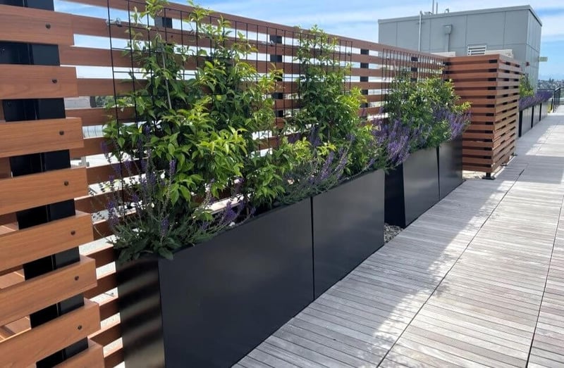 Fireside Flats: Elevating Urban Landscapes with Inspiring Elements preview 4