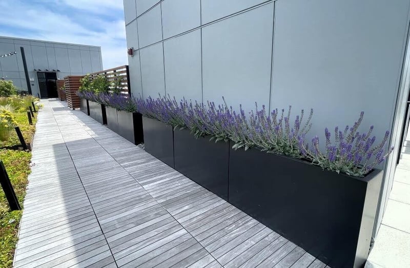 Fireside Flats: Elevating Urban Landscapes with Inspiring Elements preview 5