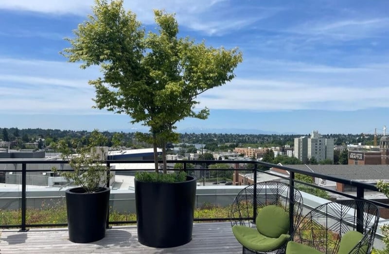 Fireside Flats: Elevating Urban Landscapes with Inspiring Elements preview 7
