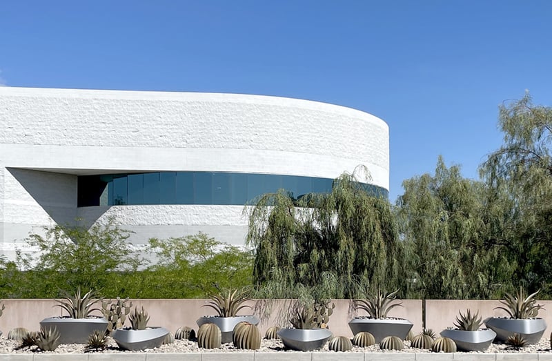 Desert Delight