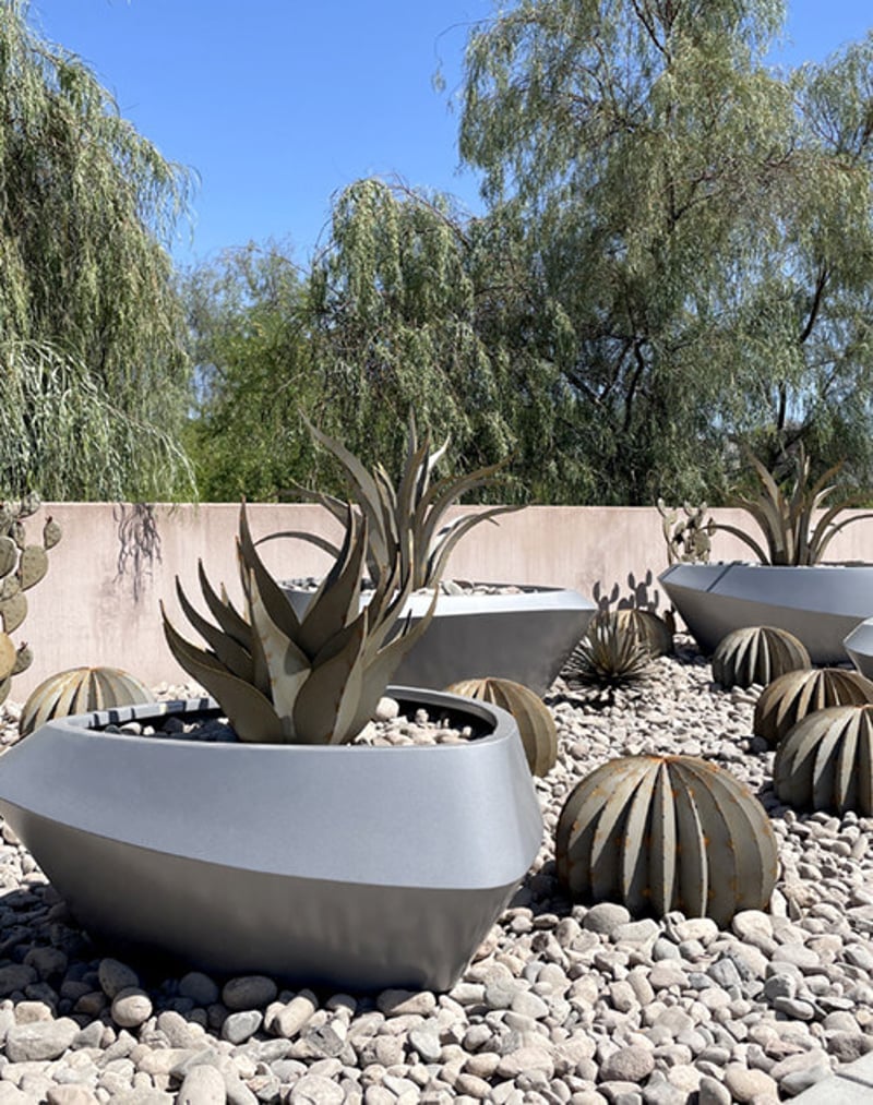 Desert Delight preview 3