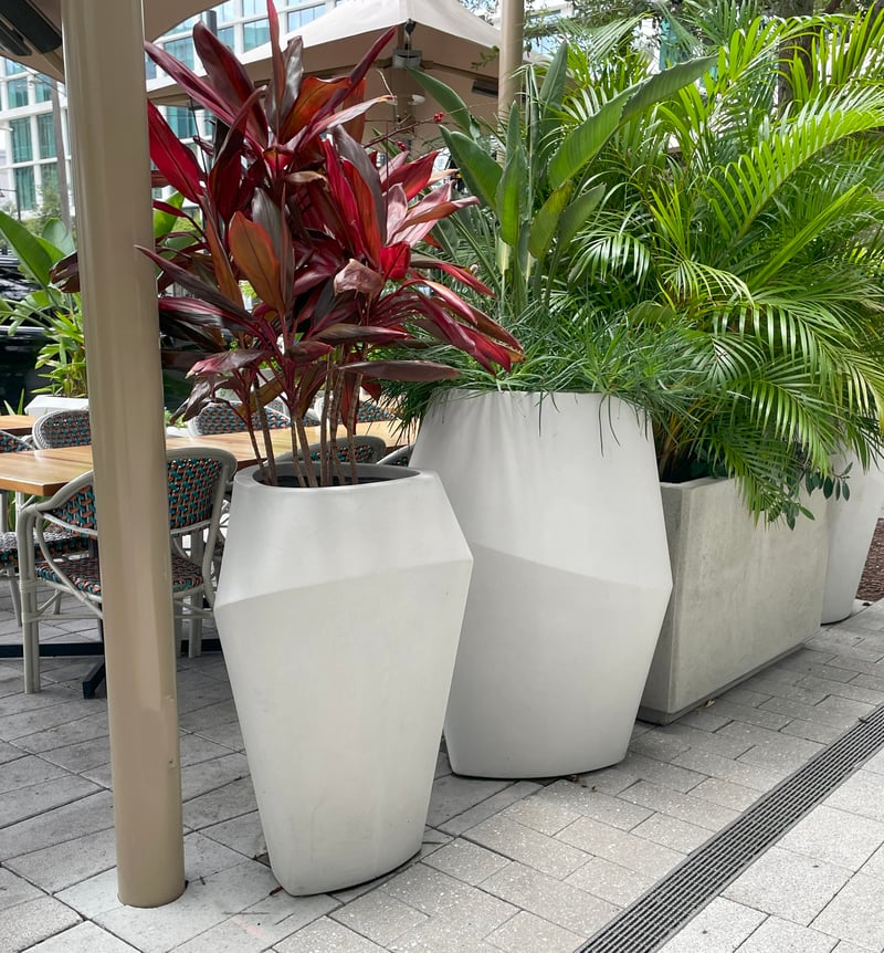 The Pearl on Water Street preview 3