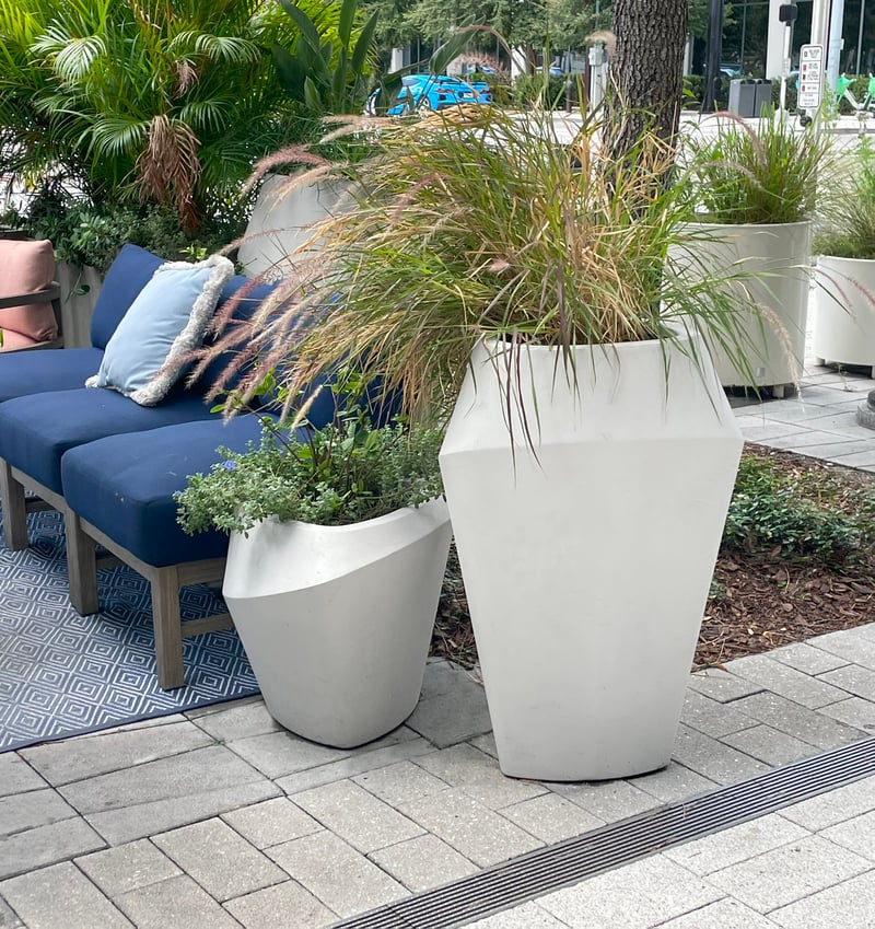 The Pearl on Water Street preview 4