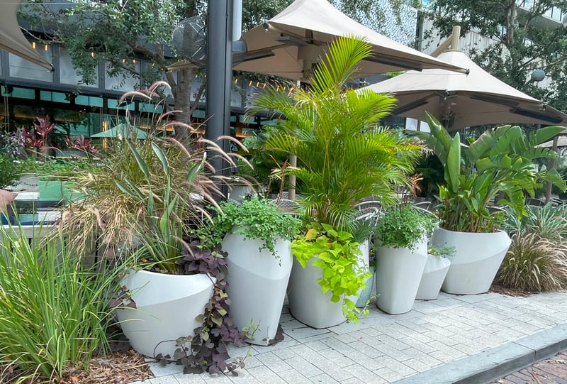 The Pearl on Water Street preview 5