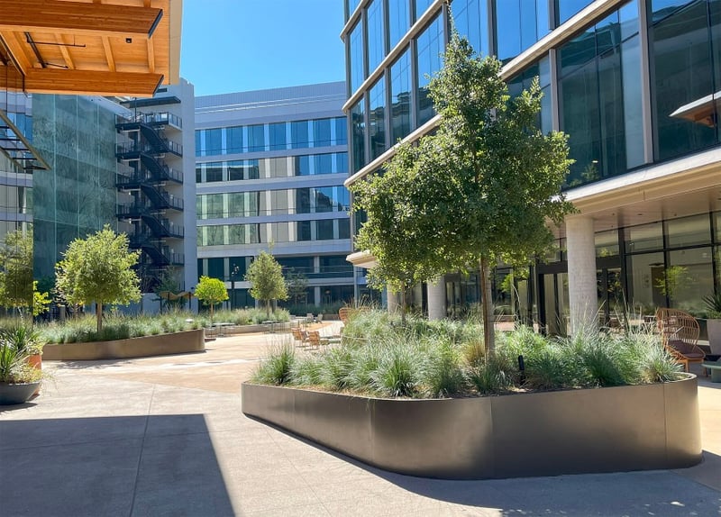Terraces with Purpose at Pacific Center preview 4