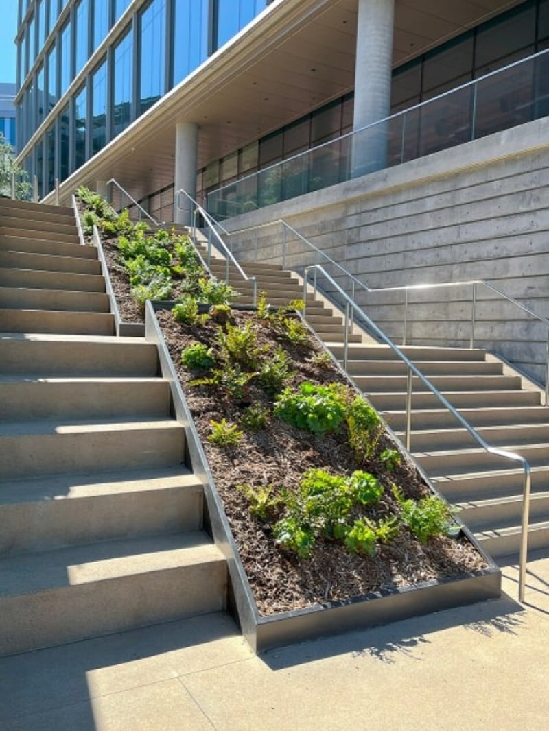 Terraces with Purpose at Pacific Center preview 5