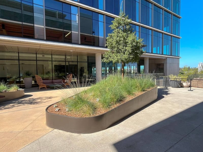Terraces with Purpose at Pacific Center preview 7