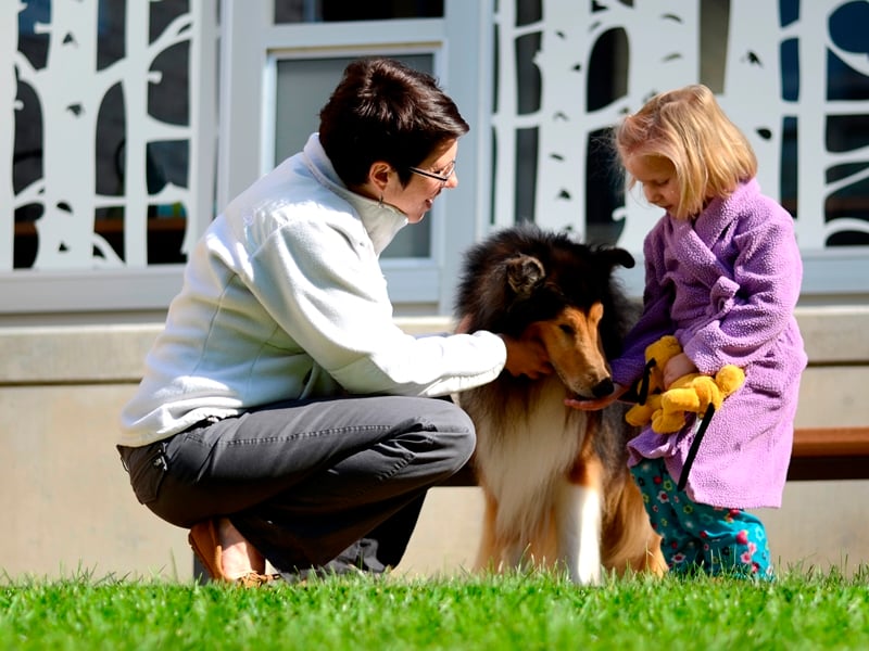 Cincinatti Children's Hospital Family Pet Center preview 3