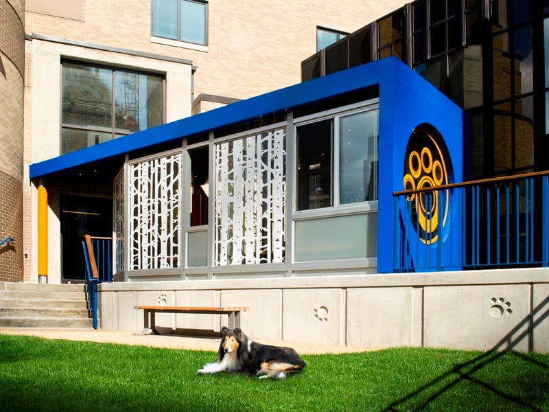 Cincinatti Children's Hospital Family Pet Center