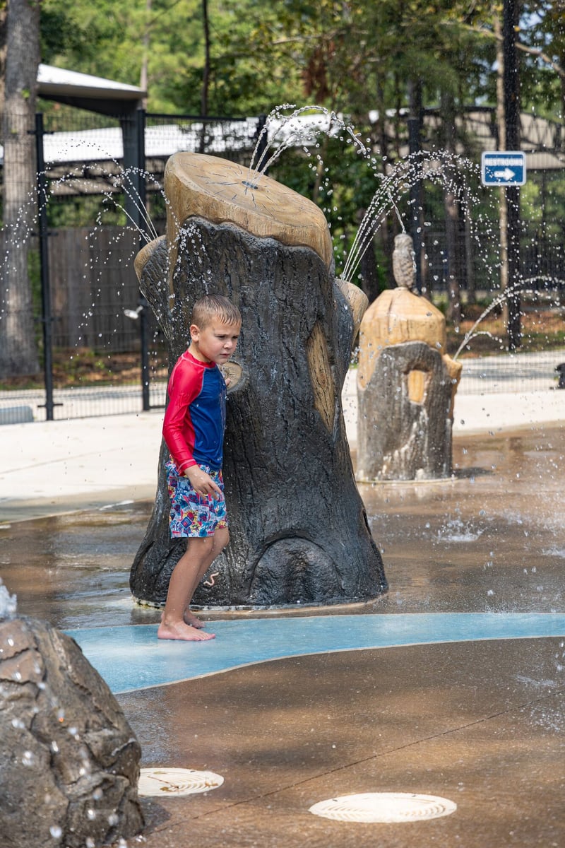 Bear Branch Park preview 3