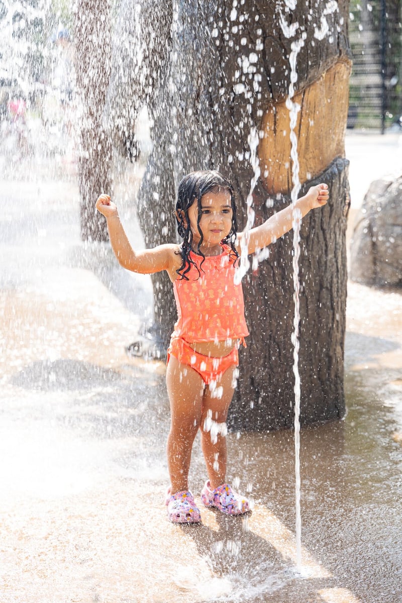 Bear Branch Park preview 4