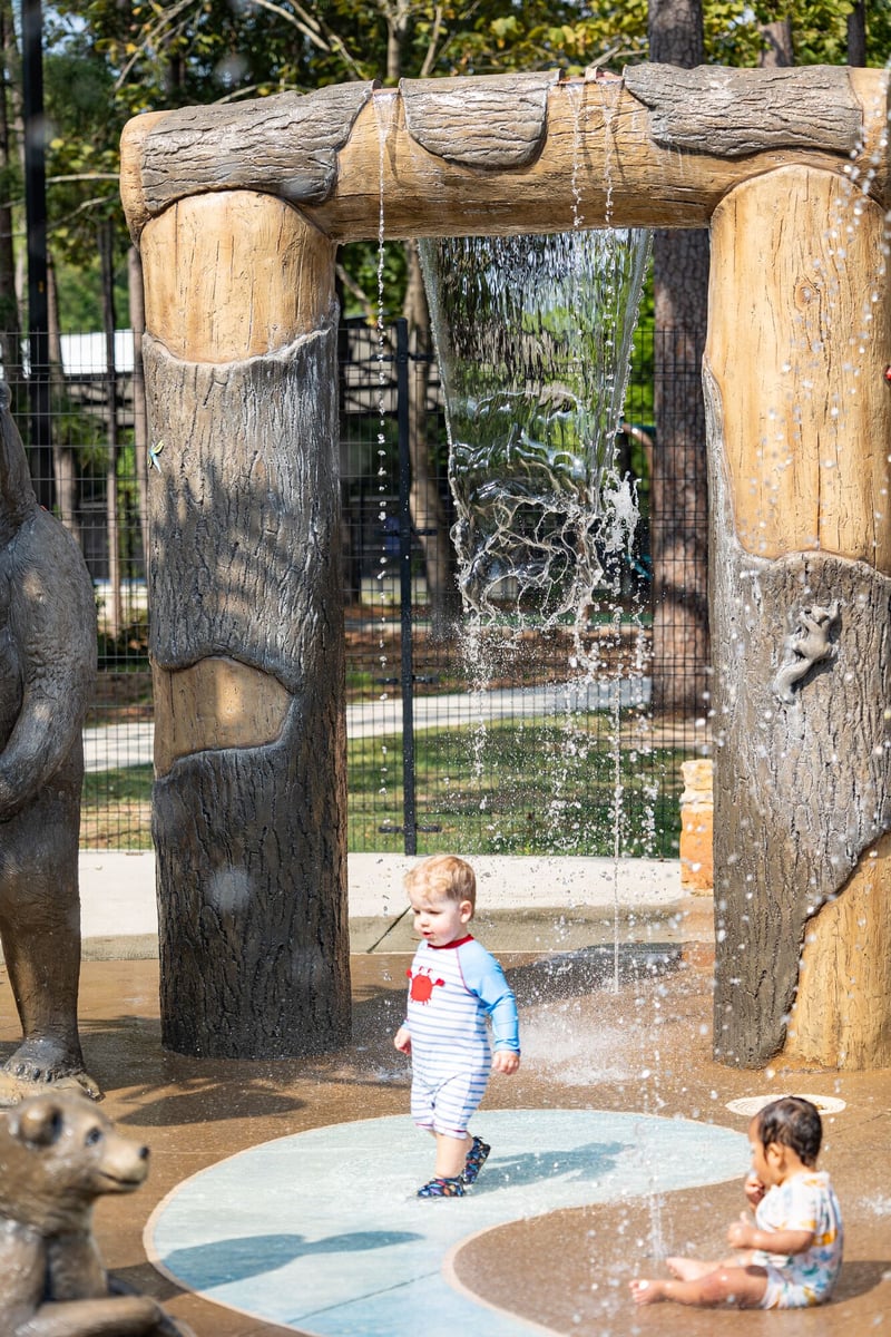 Bear Branch Park preview 8