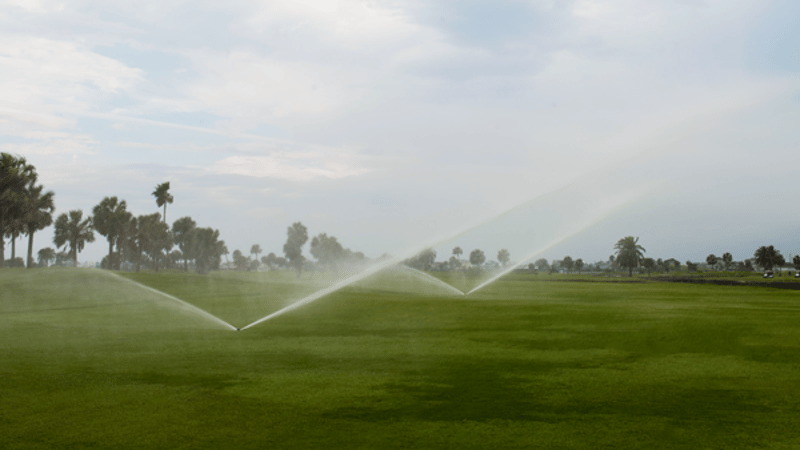 Galveston Country Club preview 3