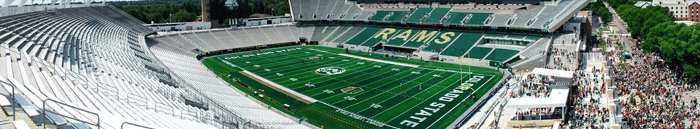 Shaw Sports Turf