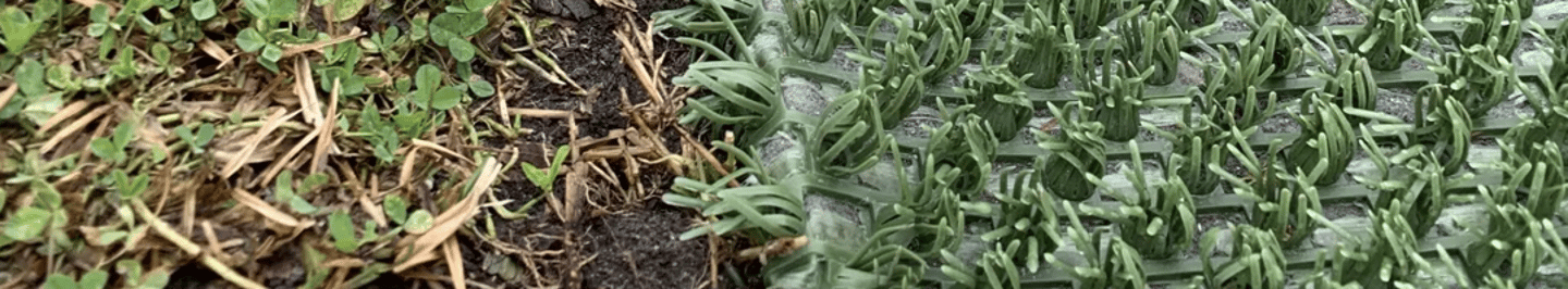 GrassWorx