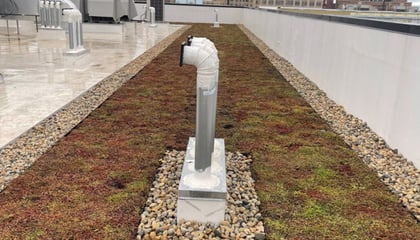 Extensive Green Roof