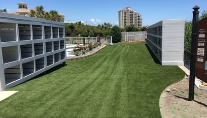 Synthetic Turf for Myrtle Beach by Peter Albanes