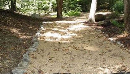 Paths
