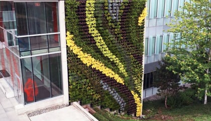 SIMON FRASER UNIVERSITY