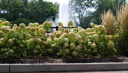 Cincinnati Zoo and Botanic Garden