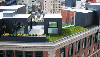 Morton Condos