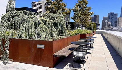 Fantastic Rooftop on Serif & The Line Hotel