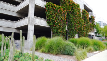 The Bluffs at Playa Vista: A Model of Sustainable Urban Design