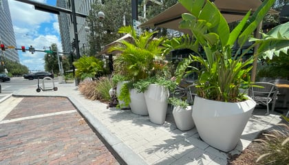 The Pearl on Water Street