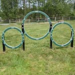 View Husky Triple Hoop